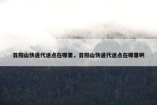 首阳山快递代送点在哪里，首阳山快递代送点在哪里啊