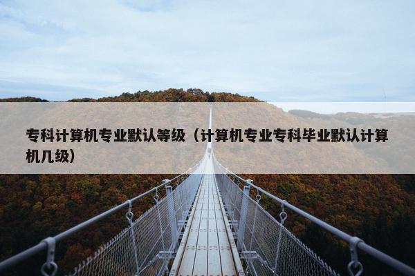 专科计算机专业默认等级（计算机专业专科毕业默认计算机几级）