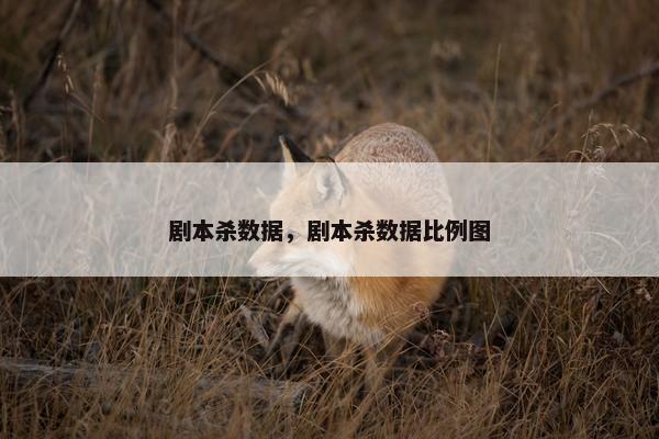 剧本杀数据，剧本杀数据比例图