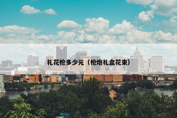 礼花枪多少元（枪炮礼盒花束）