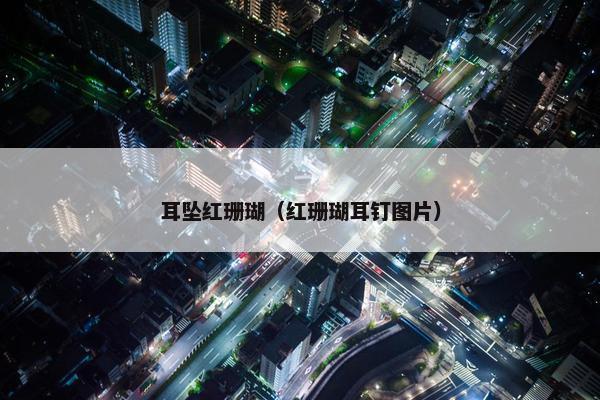 耳坠红珊瑚（红珊瑚耳钉图片）