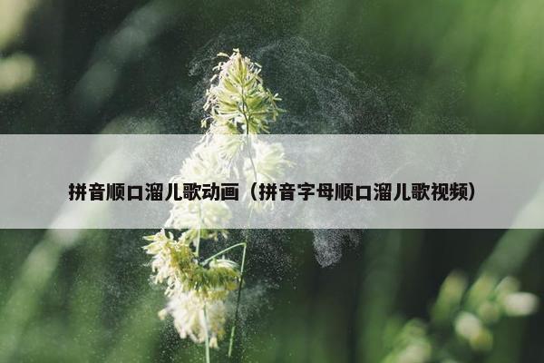 拼音顺口溜儿歌动画（拼音字母顺口溜儿歌视频）
