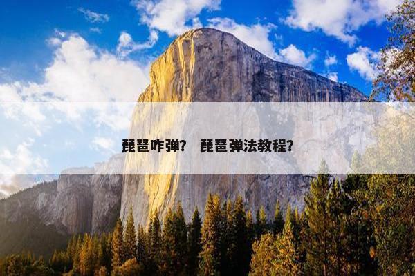 琵琶咋弹？ 琵琶弹法教程？
