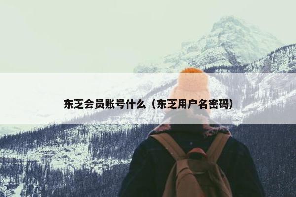 东芝会员账号什么（东芝用户名密码）