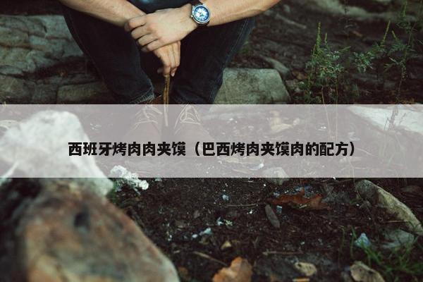 西班牙烤肉肉夹馍（巴西烤肉夹馍肉的配方）