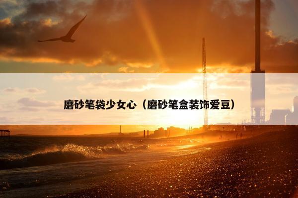 磨砂笔袋少女心（磨砂笔盒装饰爱豆）