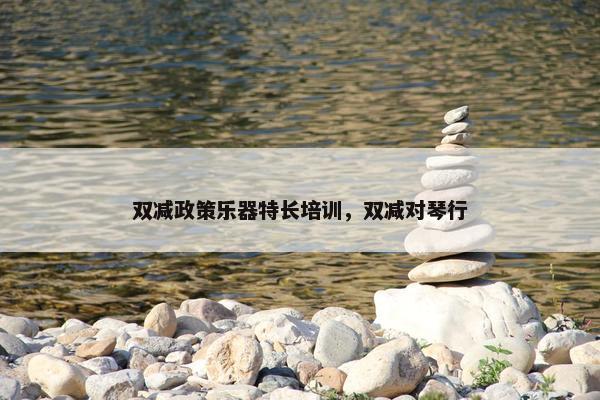 双减政策乐器特长培训，双减对琴行