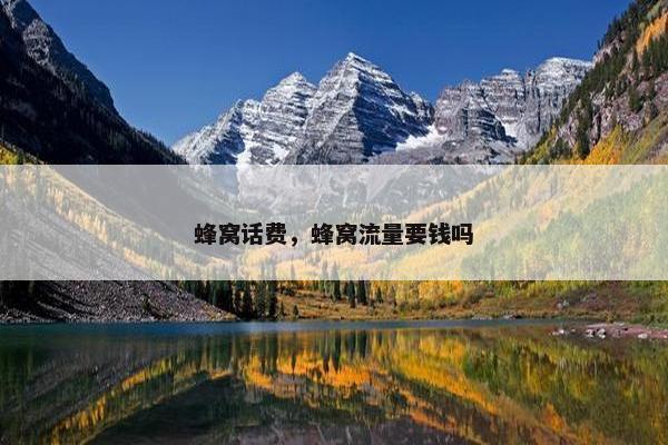 蜂窝话费，蜂窝流量要钱吗