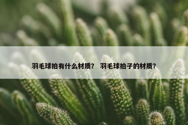 羽毛球拍有什么材质？ 羽毛球拍子的材质？