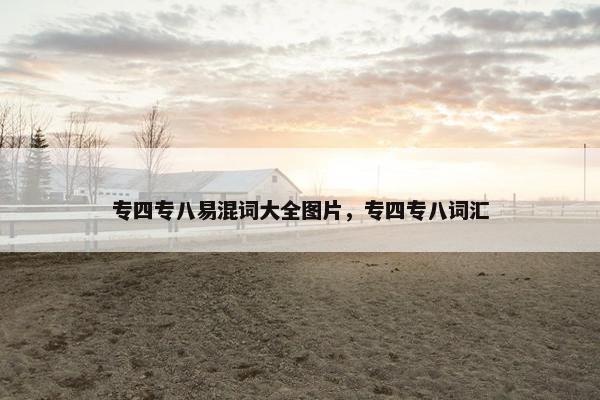 专四专八易混词大全图片，专四专八词汇
