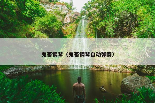 鬼畜钢琴（鬼畜钢琴自动弹奏）