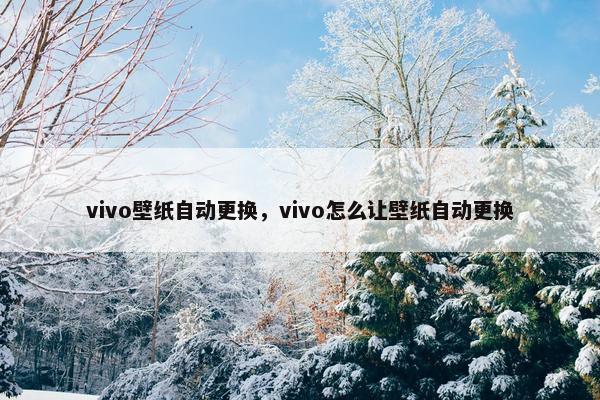 vivo壁纸自动更换，vivo怎么让壁纸自动更换