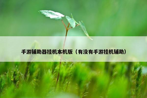 手游辅助器挂机本机版（有没有手游挂机辅助）