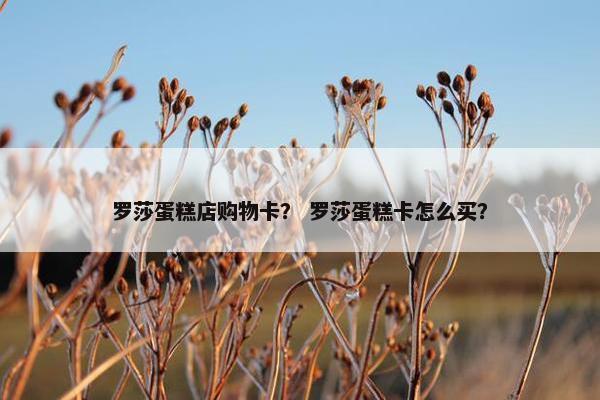 罗莎蛋糕店购物卡？ 罗莎蛋糕卡怎么买？