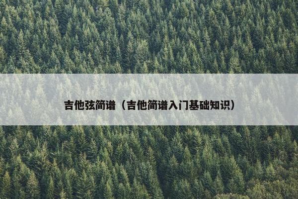 吉他弦简谱（吉他简谱入门基础知识）