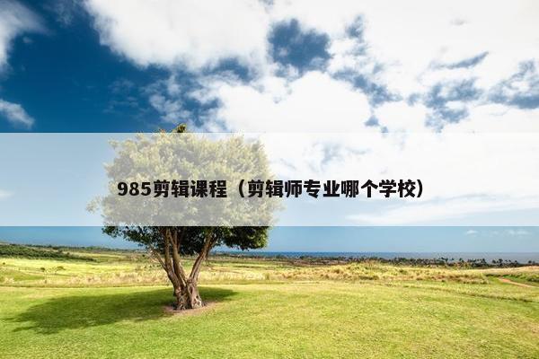 985剪辑课程（剪辑师专业哪个学校）