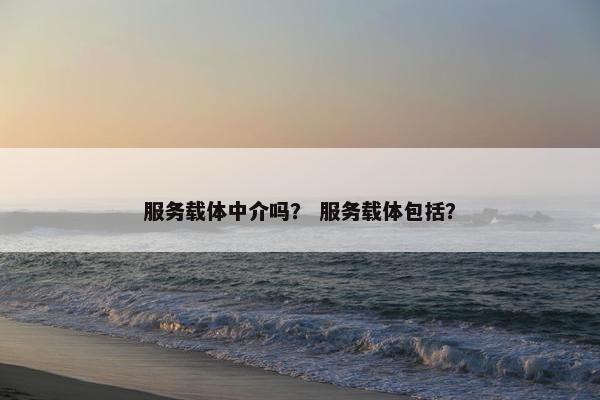 服务载体中介吗？ 服务载体包括？