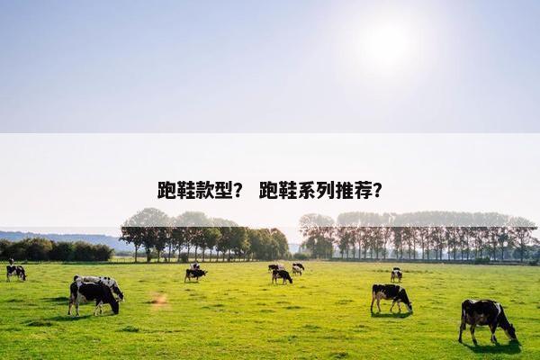 跑鞋款型？ 跑鞋系列推荐？