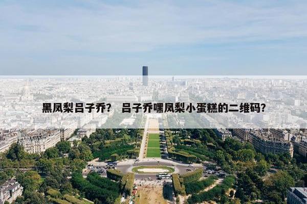 黑凤梨吕子乔？ 吕子乔嘿凤梨小蛋糕的二维码？