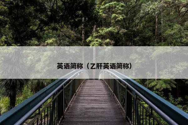 英语简称（乙肝英语简称）