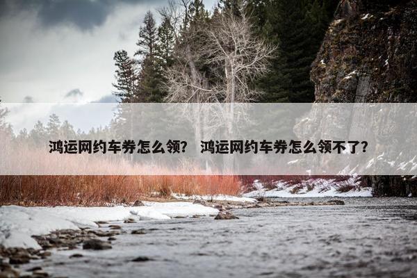 鸿运网约车券怎么领？ 鸿运网约车券怎么领不了？