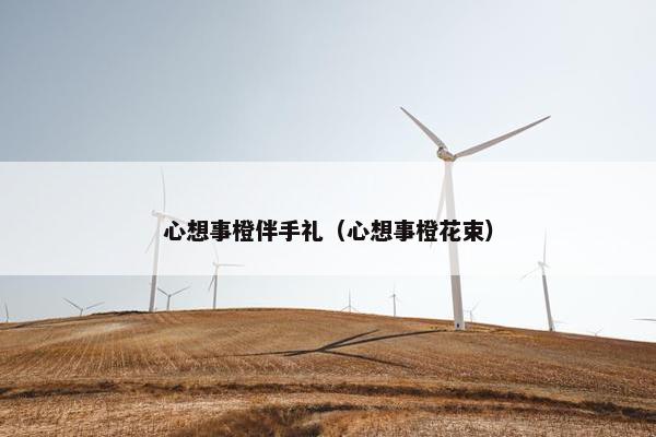 心想事橙伴手礼（心想事橙花束）