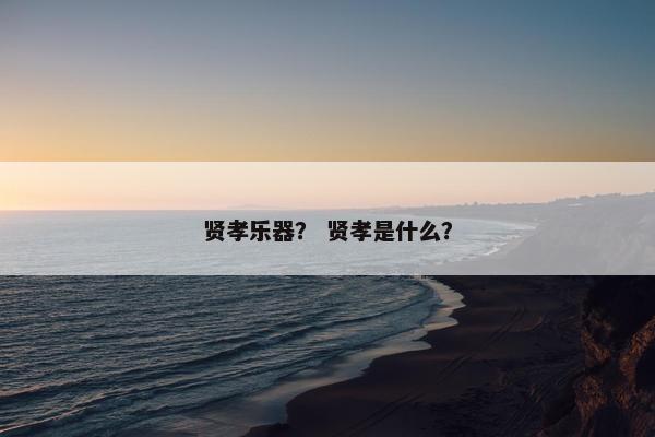贤孝乐器？ 贤孝是什么？