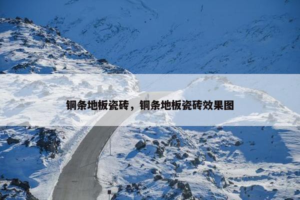 铜条地板瓷砖，铜条地板瓷砖效果图