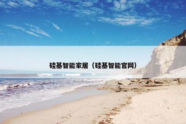 硅基智能家居（硅基智能官网）