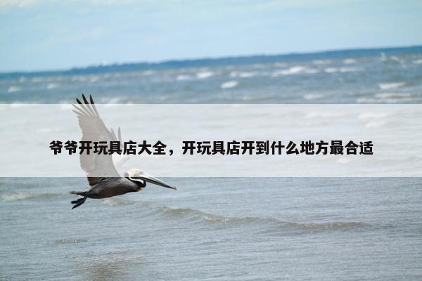 爷爷开玩具店大全，开玩具店开到什么地方最合适