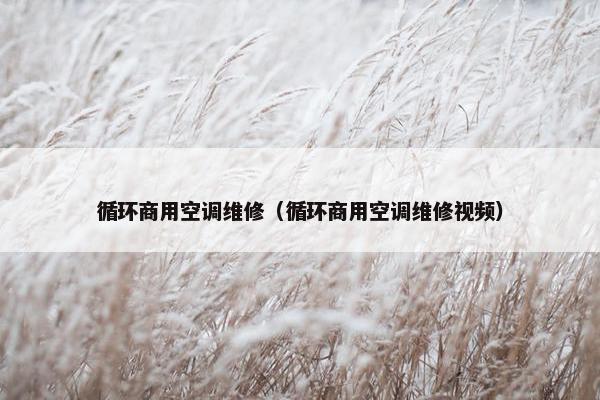 循环商用空调维修（循环商用空调维修视频）