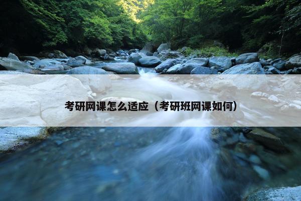 考研网课怎么适应（考研班网课如何）