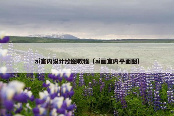 ai室内设计绘图教程（ai画室内平面图）