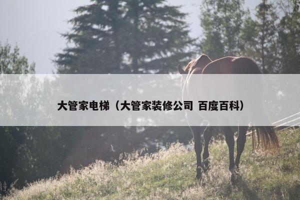 大管家电梯（大管家装修公司 百度百科）