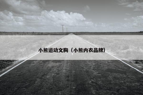 小熊运动文胸（小熊内衣品牌）