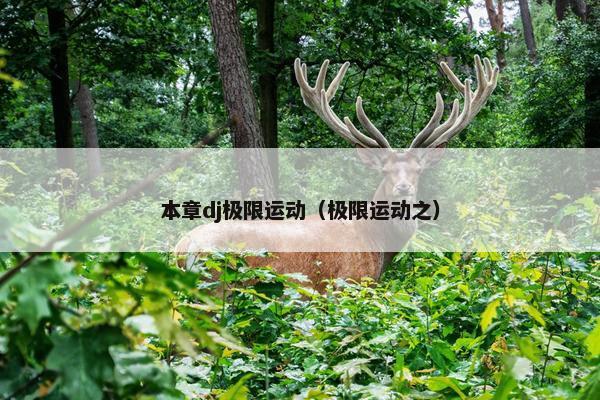 本章dj极限运动（极限运动之）