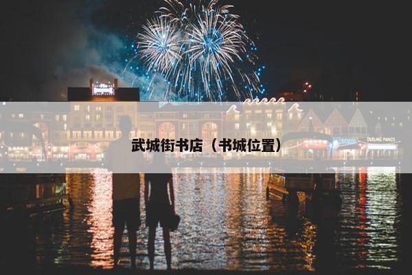 武城街书店（书城位置）