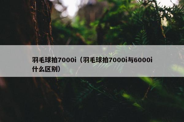 羽毛球拍7000i（羽毛球拍7000i与6000i什么区别）