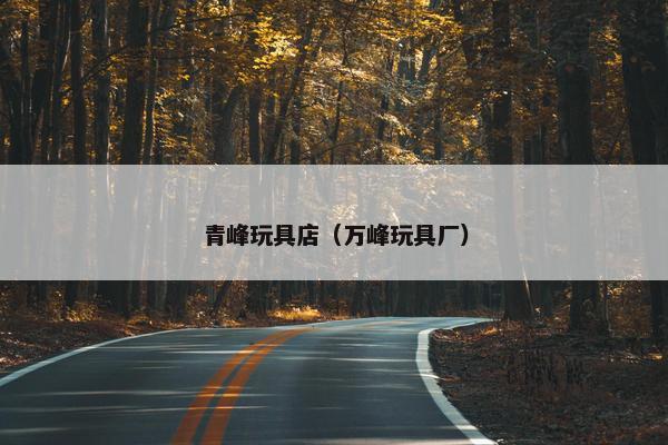 青峰玩具店（万峰玩具厂）