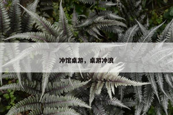 冲馆桌游，桌游冲浪