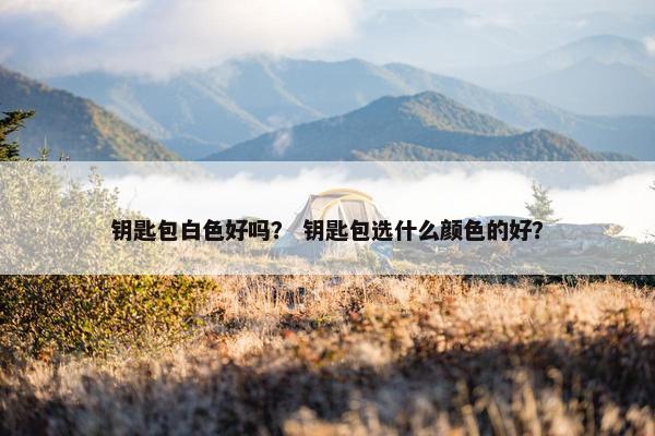 钥匙包白色好吗？ 钥匙包选什么颜色的好？