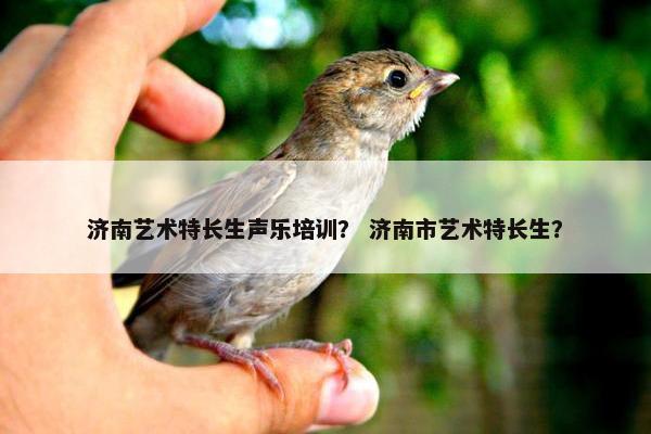 济南艺术特长生声乐培训？ 济南市艺术特长生？