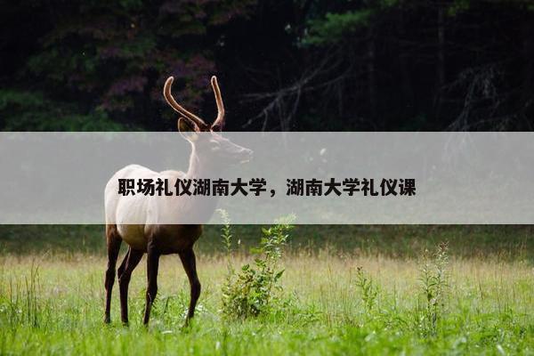 职场礼仪湖南大学，湖南大学礼仪课