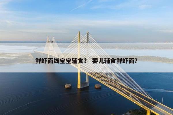 鲜虾面线宝宝辅食？ 婴儿辅食鲜虾面？