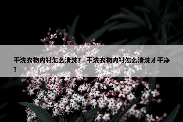 干洗衣物内衬怎么清洗？ 干洗衣物内衬怎么清洗才干净？