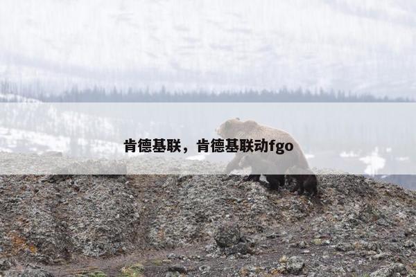 肯德基联，肯德基联动fgo