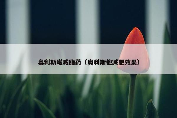 奥利斯塔减脂药（奥利斯他减肥效果）
