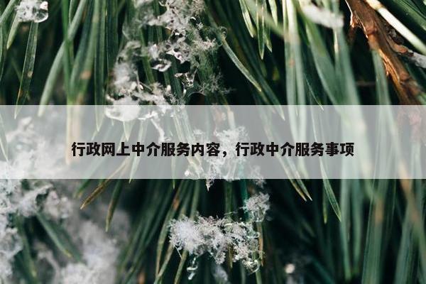 行政网上中介服务内容，行政中介服务事项