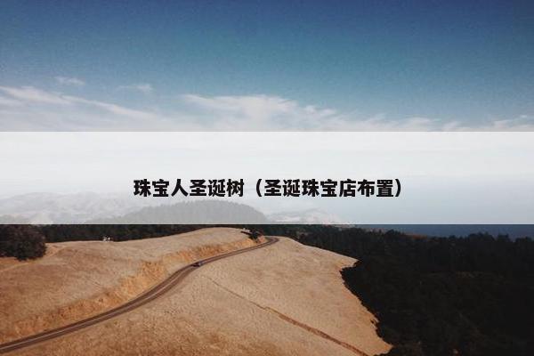 珠宝人圣诞树（圣诞珠宝店布置）
