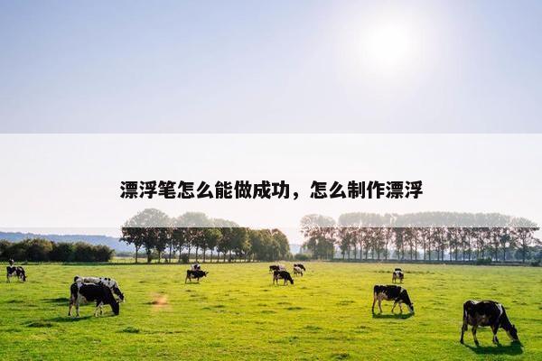 漂浮笔怎么能做成功，怎么制作漂浮
